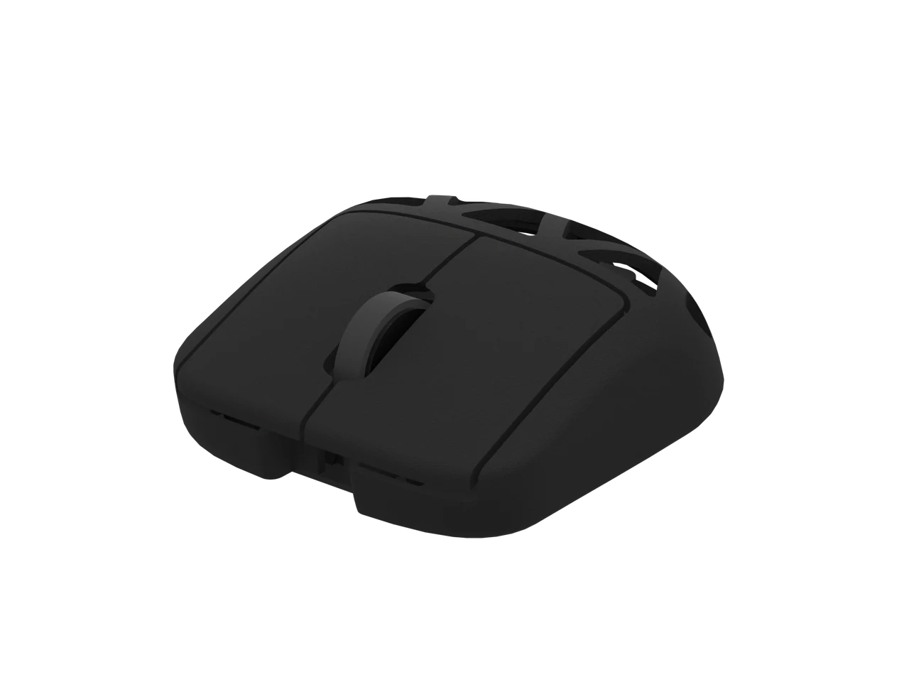 Three-dimensional view of RYF-001
