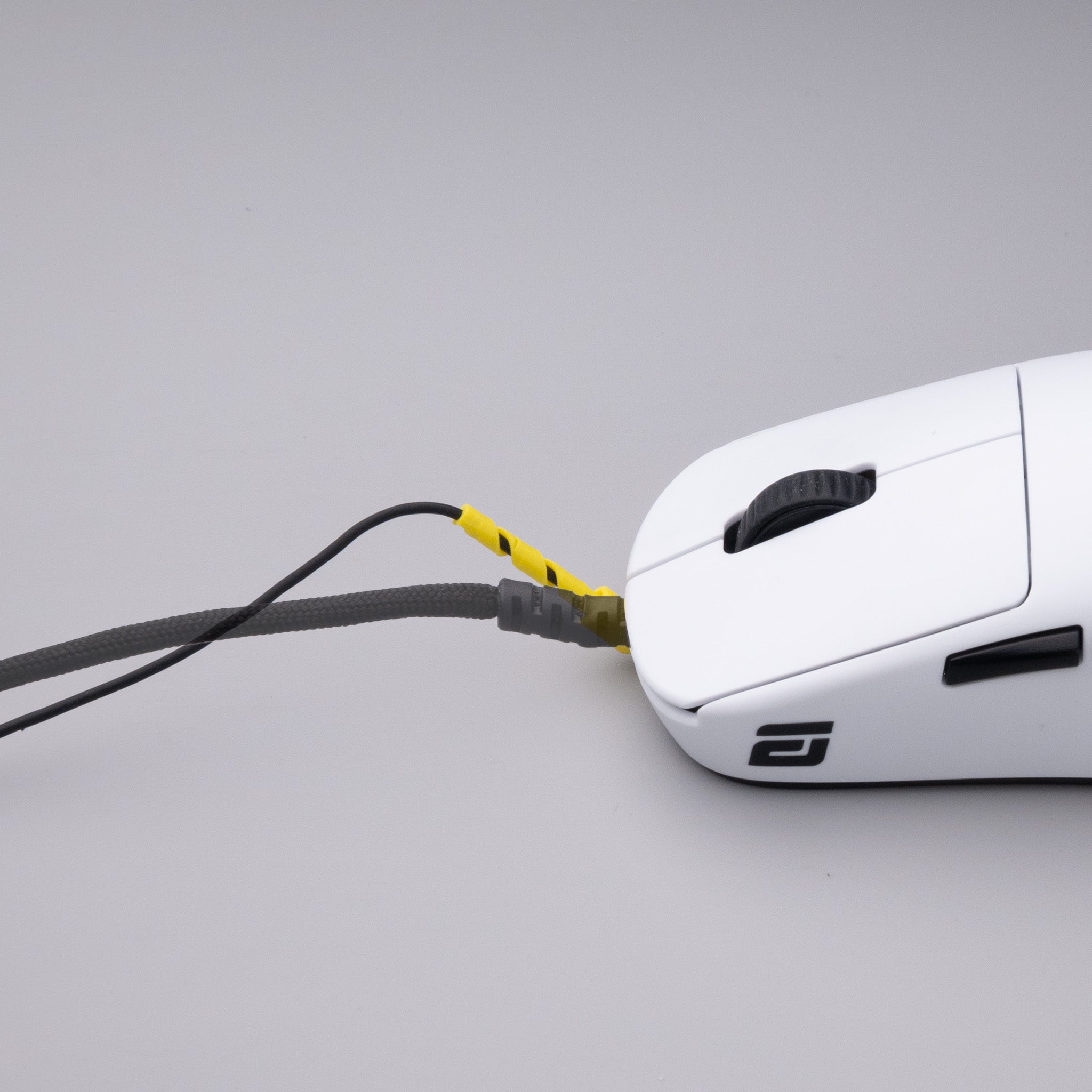 midori W1RXD EV2LUTION – Nitro Factory