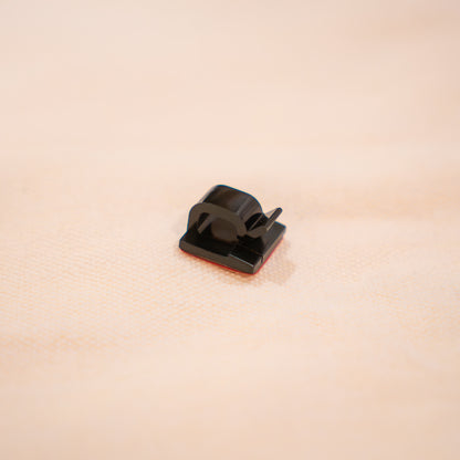 midori W1RXD EV2LUTION